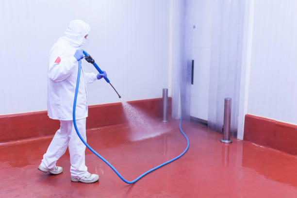 Best Restaurant Pressure Washing  in Grand Rapids, MN