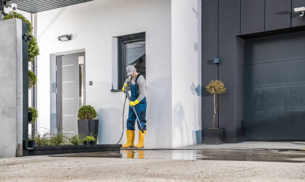 Best Fence Cleaning  in Grand Rapids, MN